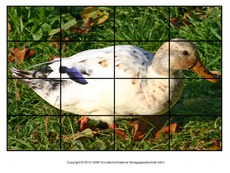 Puzzle-Ente-Lilly-1.pdf